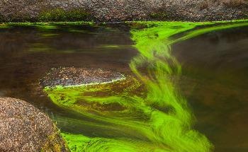 Actions to Reduce CO2 Emissions Could Limit the Rising Temperature of Swiss Rivers