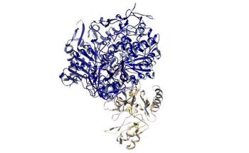 Researchers Develop Efficient Concept to Convert CO2 into Clean Fuels Without any Undesirable By-Products