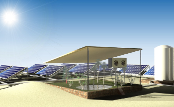 Solar-Driven System Successfully Grows Spinach by Using Water Drawn from the Air