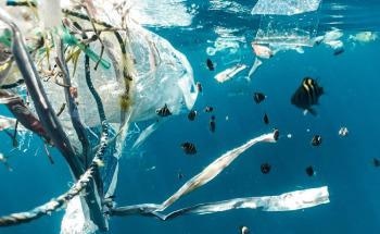 Great Diversity of Marine Organisms Attach Themselves to Plastics and are Dragged Along by Marine Currents