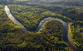 Study Analyzes the Reason Behind the Loss of Resilience in the Amazon Rainforest