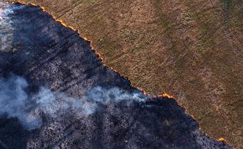 Study Examines Loss of Climate Space for Permafrost Peatlands in Europe and Western Siberia