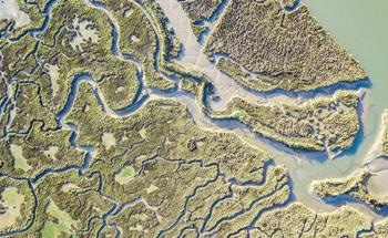 Study Details How Carbon is Stored and Transported Via the Intricacy of Inland and Coastal Waterways