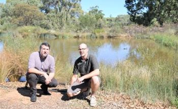 Ways to Improve Water Purity: Wetland Plant to Remove PFAS, Better Filtration Systems