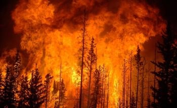 Study Finds Soil Erosion and Wildfire Another Nail in Coffin for Triassic Era
