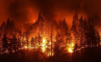 Research Highlights the Warming Effect of Brown Carbon Aerosols