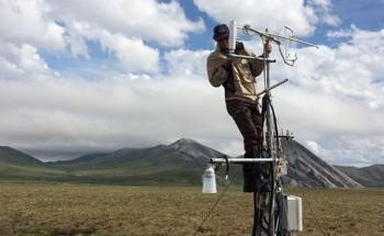 Earlier Snowmelt Impacts Carbon Sequestration in Arctic Tundra Ecosystems