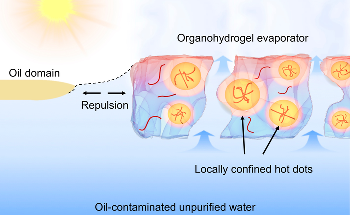Improved Water Purification System to Decontaminate Seawater
