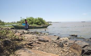 Climate Change Adaptation Plans with Invasive Species Management Ends in Failure, Study Finds