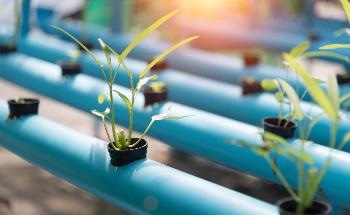 New Tool Enables Direct Measurements of Permafrost CO2 Emissions During Fall and Winter