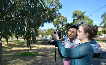 City Trees Benefit from Stormwater Harvesting