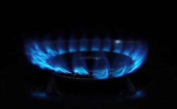 Ancient Microbes Reduce Gas Bill and CO2