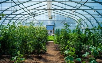 Agricultural and Forestry Sectors Likely to Play a Key Role in Reducing Greenhouse Gas Emissions