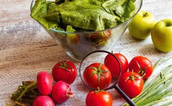 Vertical Farming may Play an Essential Role in the Production of Healthy and Sustainable Food