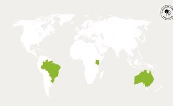 Mastercard Expands the Priceless Planet Coalition’s Forest Restoration Effort