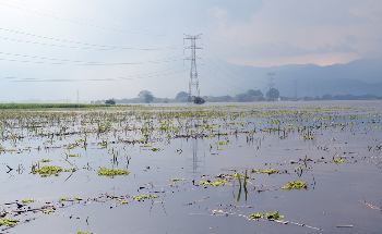 Study Shows that Community-Based Climate Risk Management Committees Can Help Improve Farmer’s Harvests