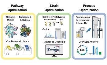 Novel Carbon-Negative Route for Producing the Commodity Chemicals