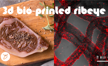 Cultivated Meat to Address the Rising Demands for Meat Products and Their Environmental Consequence
