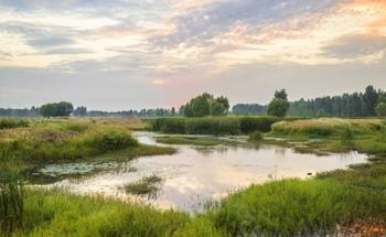 Methanogen and Methanotroph Population Patterns and the Impact on CH4 Fluxes