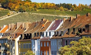Scientists Assess the Role of Greenery in Relieving Thermal Stress in Urban Areas