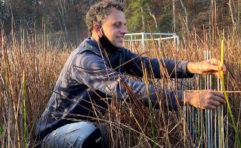 Extra CO2 Does not Always Stimulate Wetland Growth, Study Says