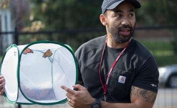 Light Pollution Can Interfere with the Remarkable Navigational Abilities of Monarchs, Study Says