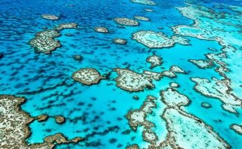 Monitoring the Soundscapes of Coral Reefs Helps Track Their Health Around the World