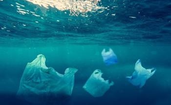 Scientists Explore the International Patterns of Plastic Packaging Waste
