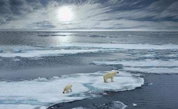 How People Can Help to Tackle Climate Change