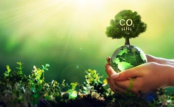 Study Identifies Opportunities for Land-Based Carbon Removal to Address the Climate Crisis