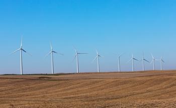 New Strategy to Restore Wind-Dominant Electric Grids from Blackouts