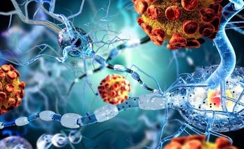 Study Analyzes the Role of Air Pollution in Disease Development