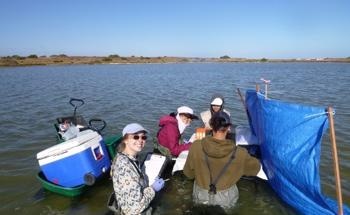 New Way to Help the Coorong
