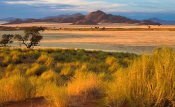 Extreme Climatic Events Enhance Resilience to Future Drought Stress Over Time