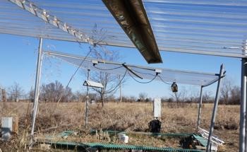 Climate Warming to Play a Predominant Role in Shaping Microbial Biodiversity
