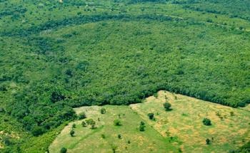 Scientists Develop Carbon Reserves Mapping to Fight Climate Change