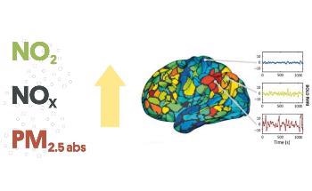 Exploring the Link Between Exposure to Traffic-Related Air Pollution and Whole-Brain Connectivity