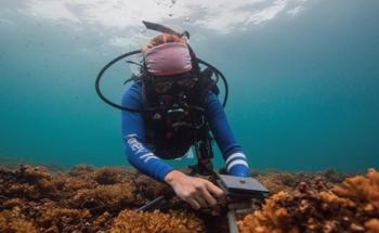 Monitoring Distant Coral Reefs is Now Possible Using a Standardized Method for Measuring Calcium Carbonate