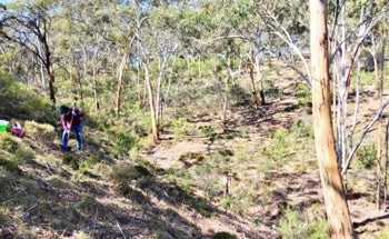 Soil Microbes Underpin Ecosystem Restoration