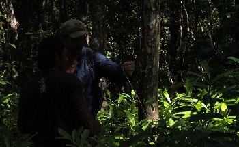Climate Change to Impact Carbon-Rich Ecosystem, Finds Study