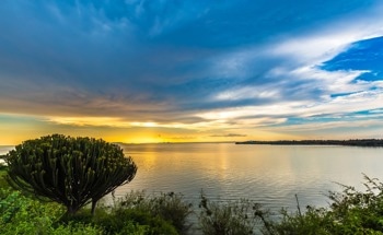Greenhouse Gas Emissions from African Lakes Assessed
