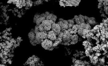 Scientists Develop Chemical Process to Convert CO2 to Methanol