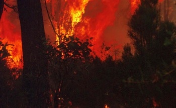 Extreme Fire Weather Days in Australia Have Doubled, New Study Finds