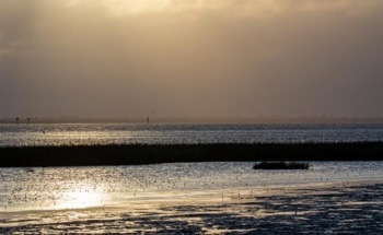 The Potential Impacts of Climate Change on Fishing and Agriculture in Tropical Coastal Communities