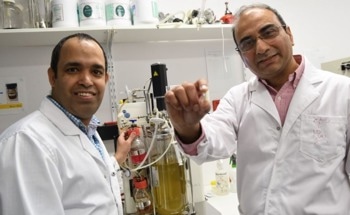 How to Distil the 'Good Oil' from the Sea