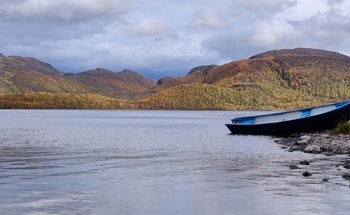 Bacteria Has the Potential to Eradicate Plastic Pollution from Lakes