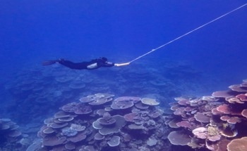 The Condition of Coral Reefs in the Great Barrier Reef