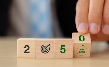 Fossil-Fuel Capacity and the Journey to Net-Zero
