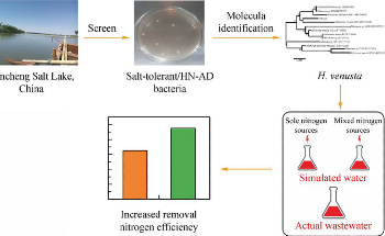 A New Method for Treating High-Salinity Nitrogenous Wastewater