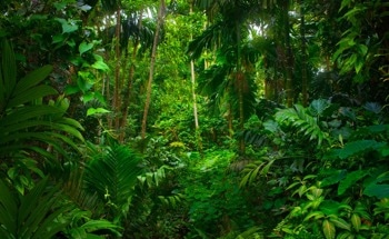 Hydropower Dams Have Links to Species Extinctions